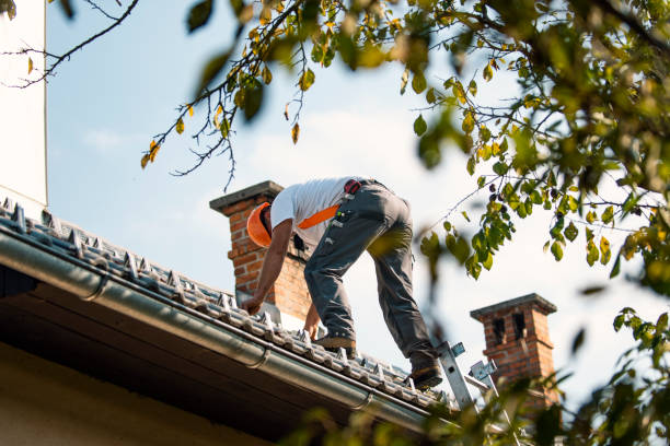 Best Roof Leak Repair  in Bangor, MI