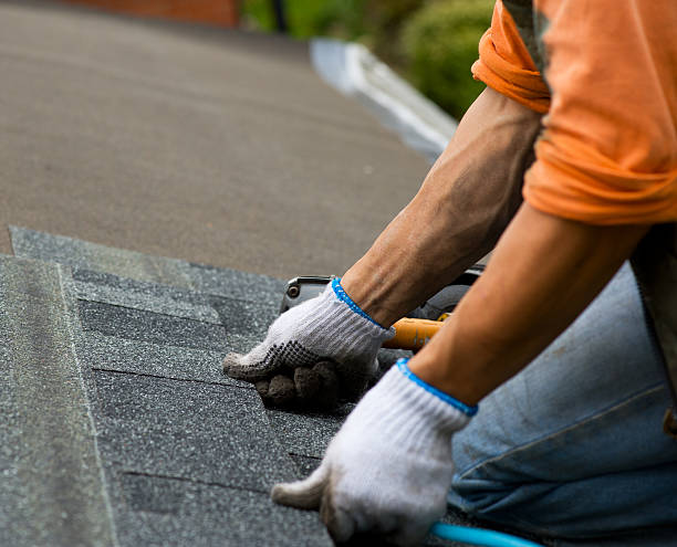 Best Gutter Installation and Roofing  in Bangor, MI